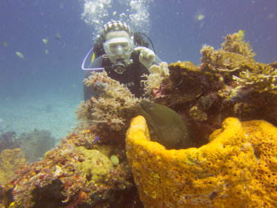 Raja Ampat underwater-4025.jpg