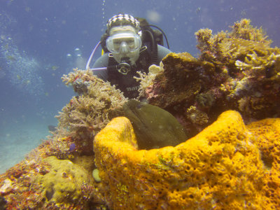 Raja Ampat underwater-4026.jpg