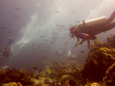 Raja Ampat underwater-4032.jpg