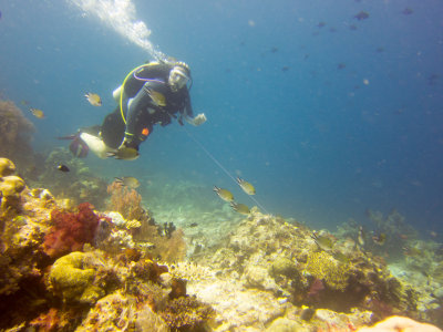 Raja Ampat underwater-4068.jpg