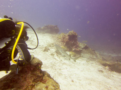 Raja Ampat underwater-4128.jpg