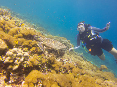 Raja Ampat underwater-4234.jpg