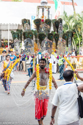 Thaipusam Singapore 2016 highlights-4585.jpg