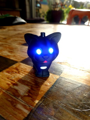the new cat