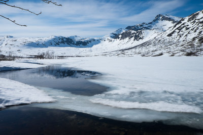 Lac gel