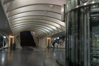 _D814417.jpg