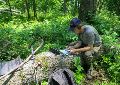 SOTA, W2/NJ-010; KX3 operating position (6/9/2013)