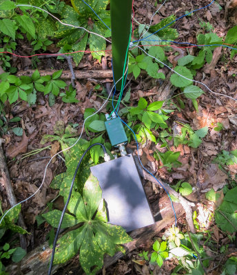 SOTA, W2/NJ-010; base of the vertical with unun and tuner (6/9/2013)