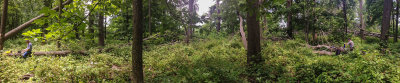 SOTA, W2/NJ-010; panorama of the operating positions (6/9/2013)