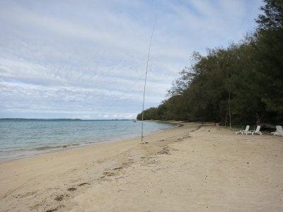 View of the shore