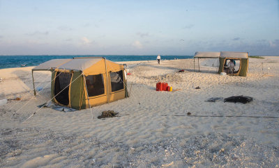 CW tent (left) and SSB tent (right) set up (3/28/2014)