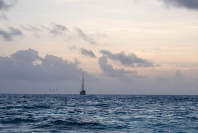 Returning to the Evohe (3/28/2014)