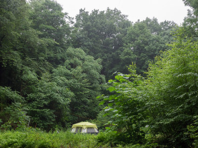 Sunday morning, still raining (6/28/2015)