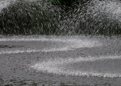 Spray (6/5/15)