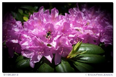 20130601141242.jpg