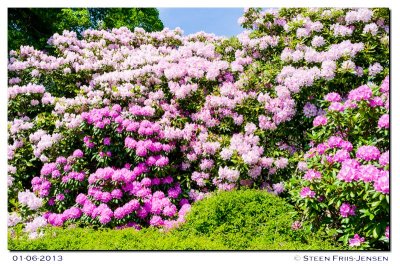 20130601141420.jpg