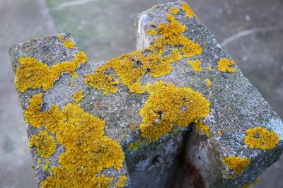 20141130-13.30.51.jpg