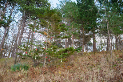 20141130-13.46.32.jpg