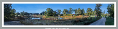 Meadow Lake