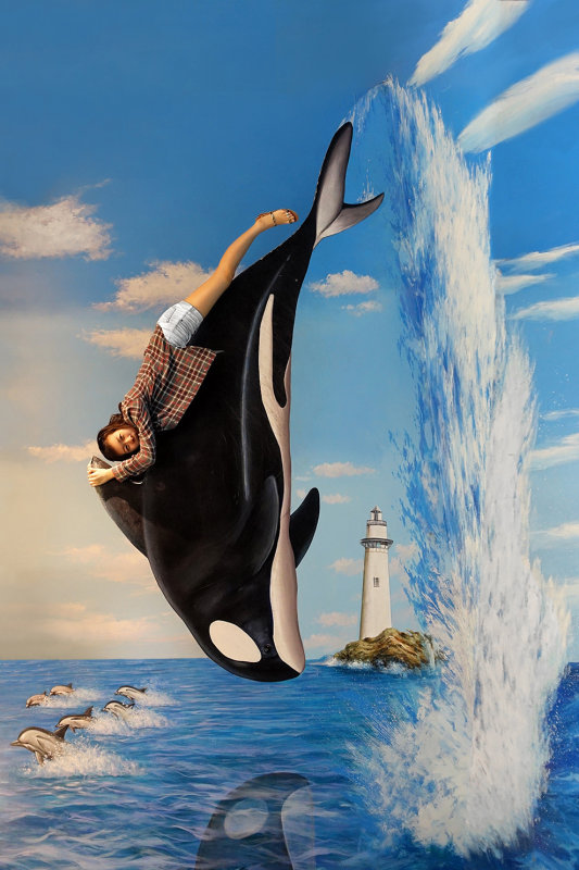 Orca  and Jumping Dolphins