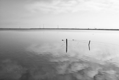 Shoreline Park