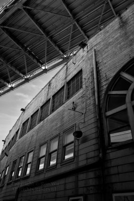 under the bridge
