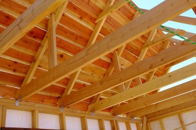 Saloon redwood ceiling