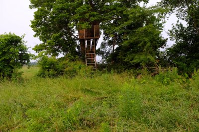 Hunting Tree Stand