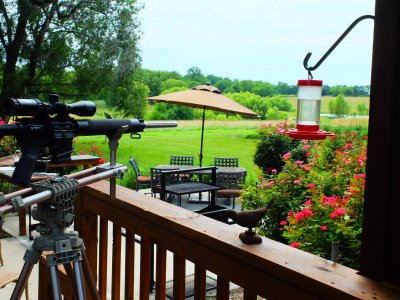 Porch Mounted Critter Gun