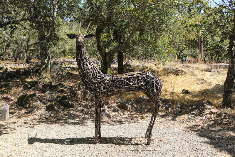5D3_6290.JPG
