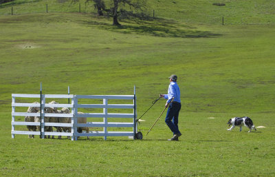 1D3_1366.JPG