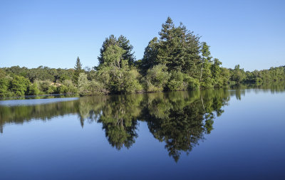Reflection