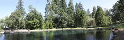 Commercial Trout Pond