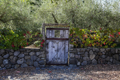 Vineyard Gate