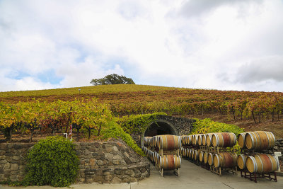 Kunde Winery Cave
