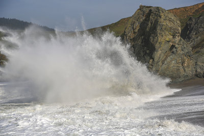 Bodega Bay