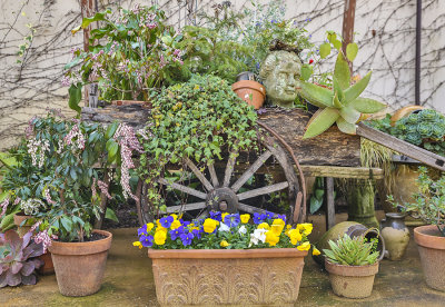 Old cart and plants