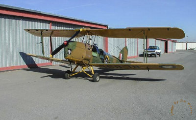 Tiger Moth