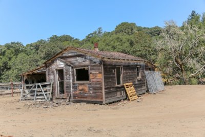 No. 56.jpg