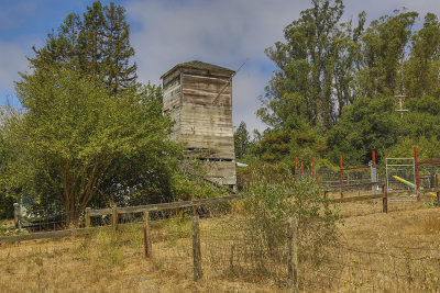 5D3_9535.JPG