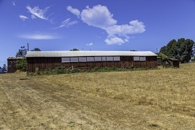 5D3_9571.jpg