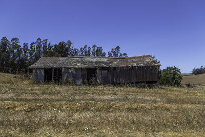 5D3_9577.jpg
