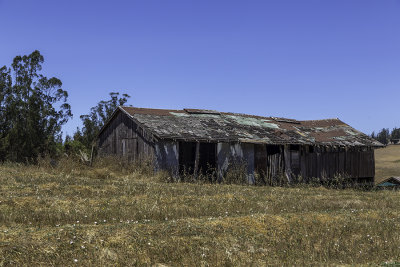 5D3_9578.jpg