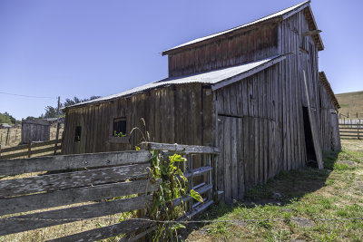 5D3_9593.jpg