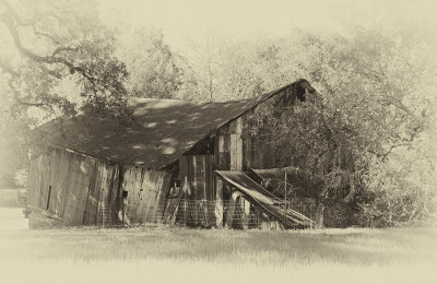 Another View