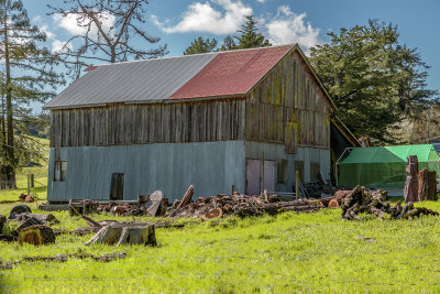 Tin and Redwood