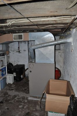DSC_7332.JPG