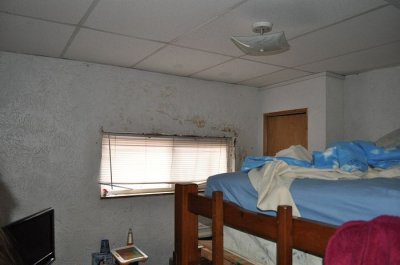 DSC_7343.JPG