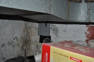 DSC_7356.JPG