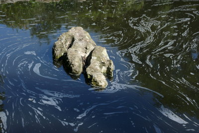 Stone Mother and Cub?